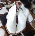 Botin Blanco Punta Cuadrada Zellex Dama